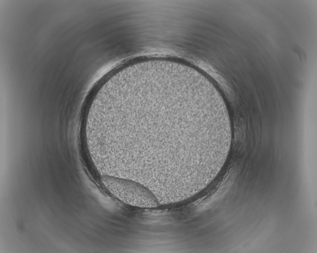 X0000111050440200908061521