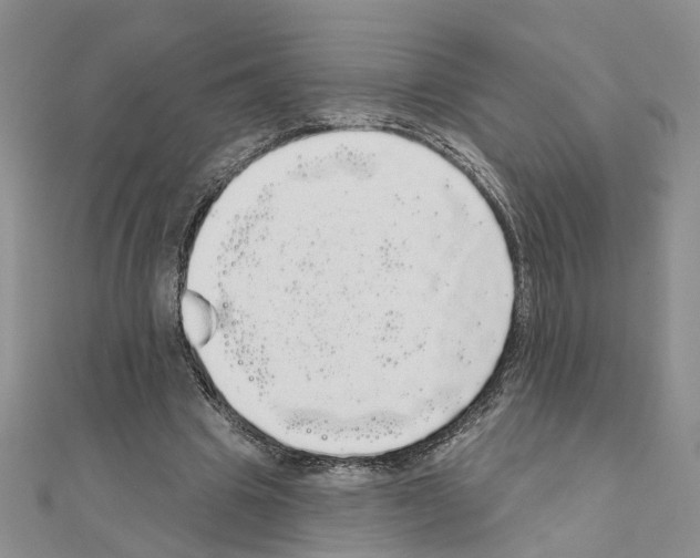 X0000111050441200908061521