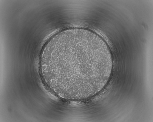 X0000111050442200908061521