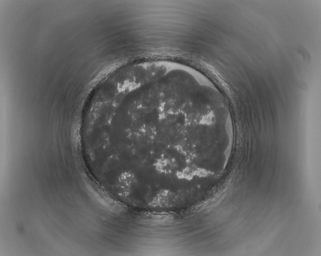 X0000111050443200908061521