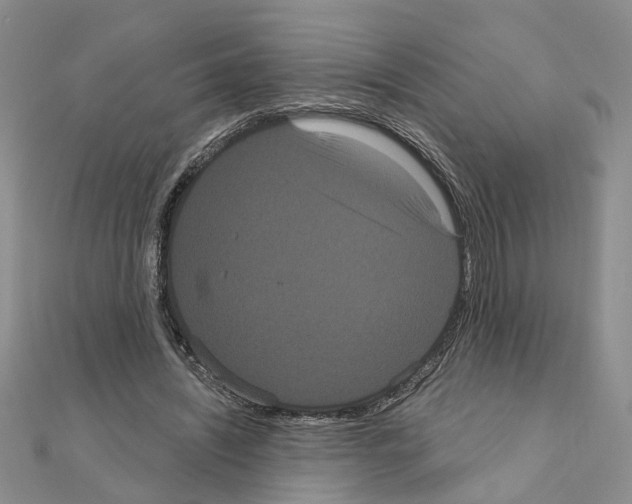 X0000111050444200908061521