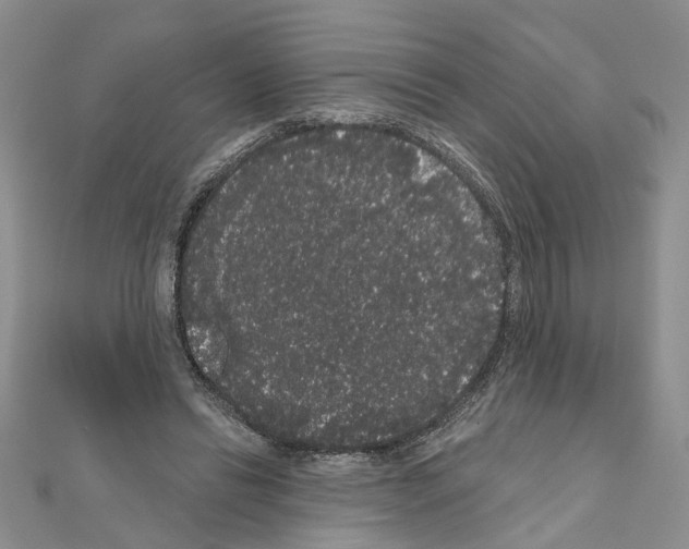 X0000111050446200908061521