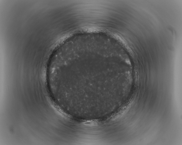 X0000111050447200908061521