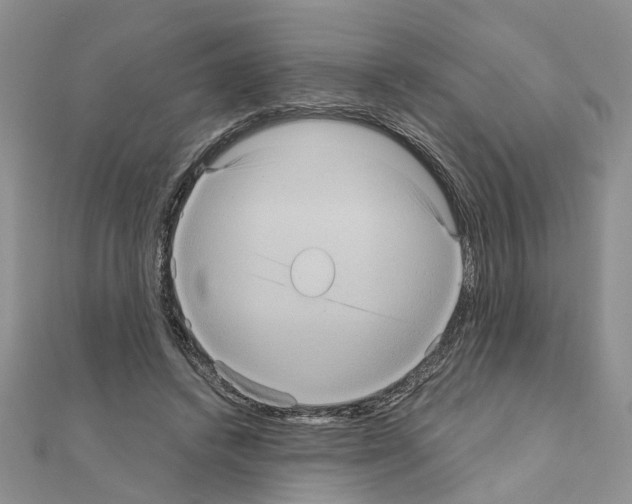 X0000111050448200908061521