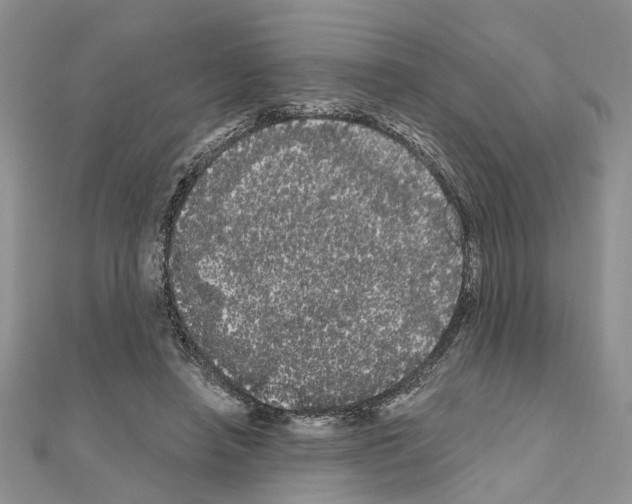 X0000111050450200908061521