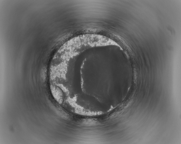 X0000111050451200908061521