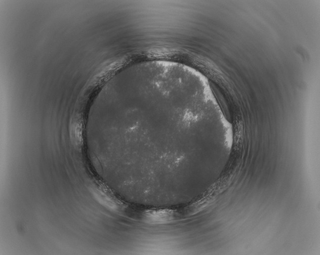 X0000111050452200908061521