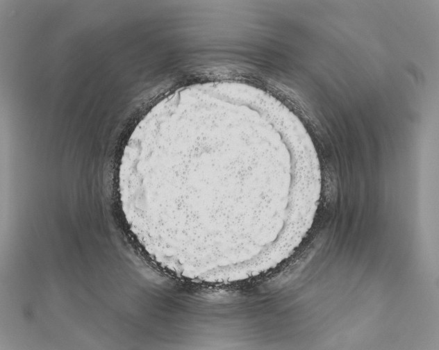 X0000111050453200908061521