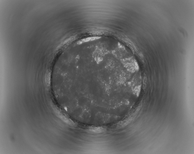 X0000111050454200908061521