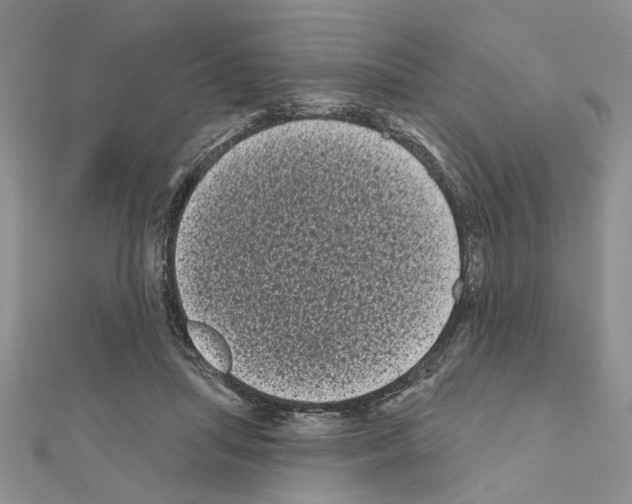 X0000111050455200908061521