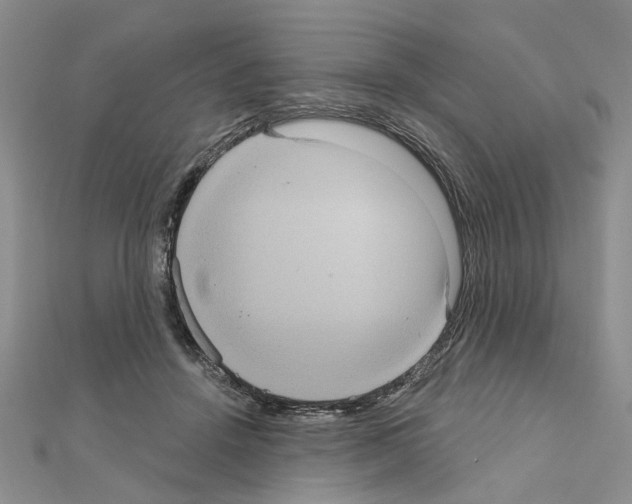 X0000111050456200908061521