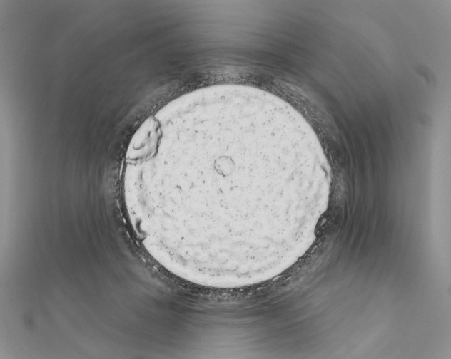 X0000111050457200908061521