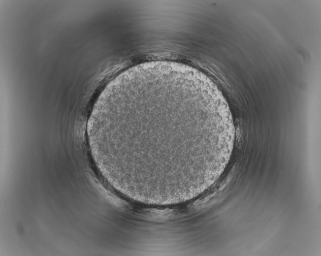 X0000111050458200908061521