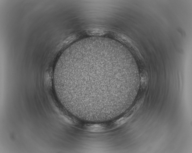 X0000111050460200908061521