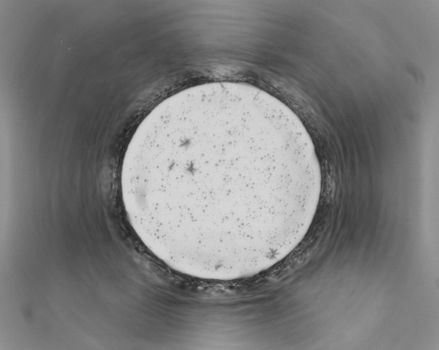 X0000111050461200908061521