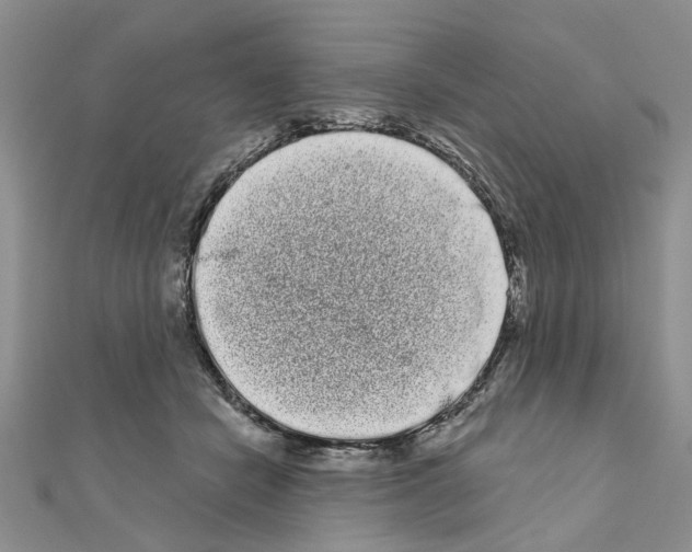 X0000111050462200908061521