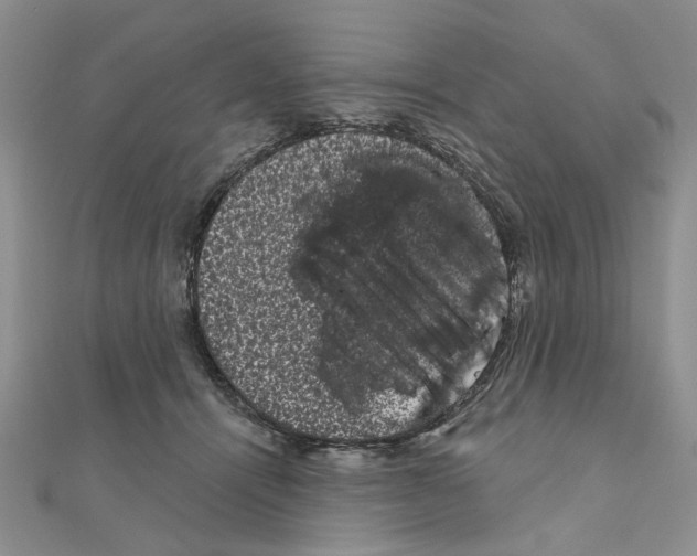 X0000111050464200908061521