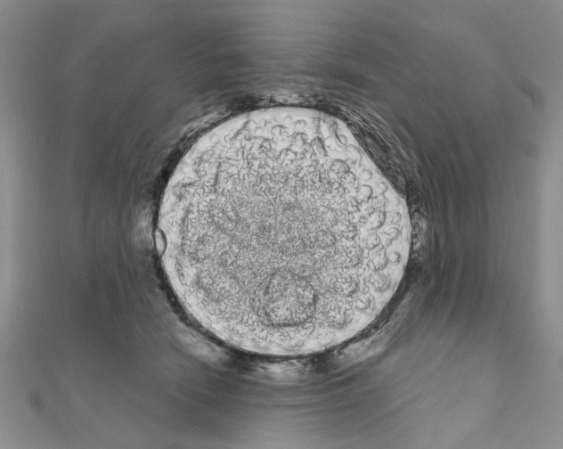 X0000111050466200908061521