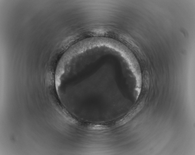 X0000111050467200908061521