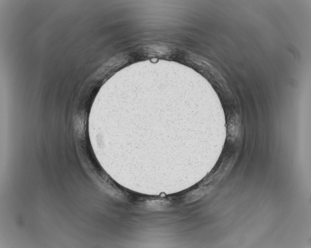 X0000111050468200908061521