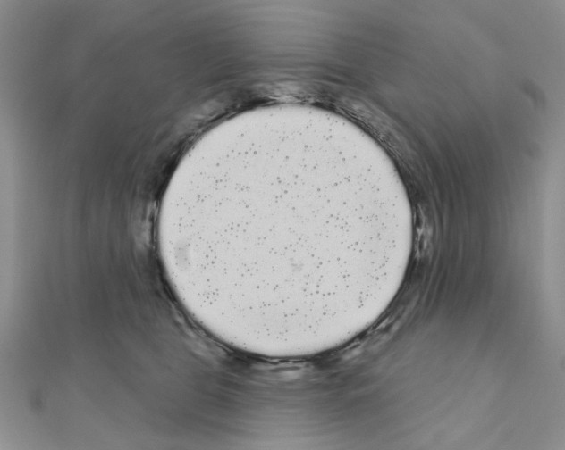 X0000111050469200908061521