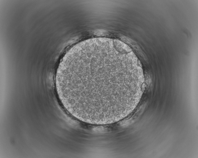 X0000111050470200908061521