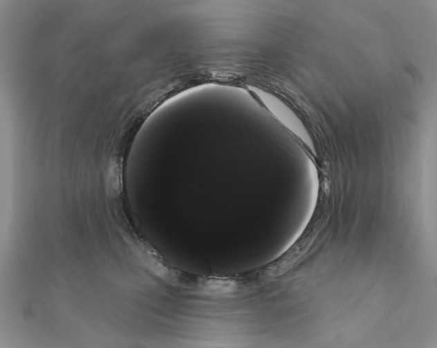 X0000111050471200908061521