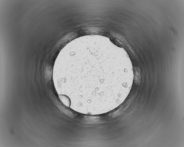 X0000111050476200908061521