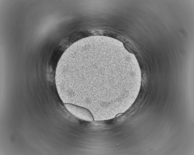 X0000111050477200908061521