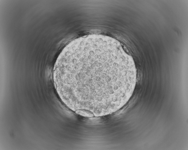 X0000111050478200908061521