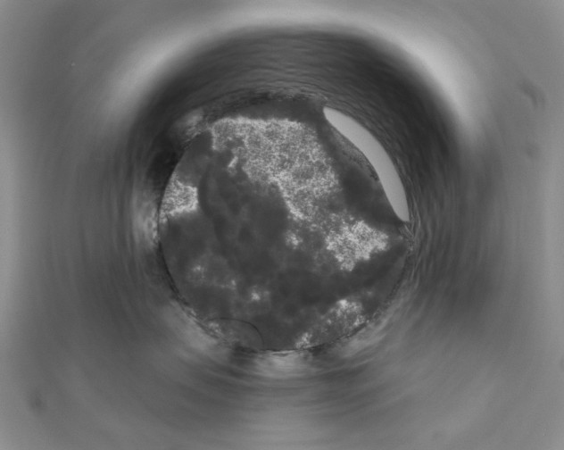 X0000111050479200908061521