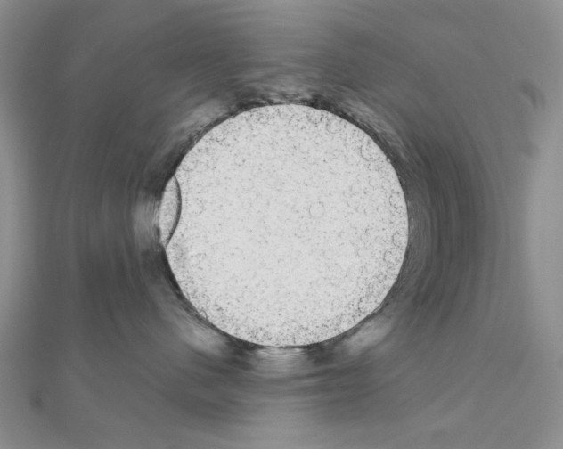 X0000111050480200908061521