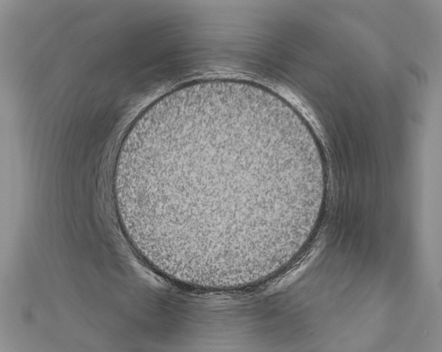 X0000111050481200908061521