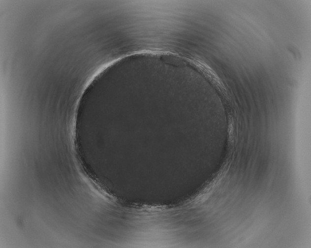 X0000111050484200908061521