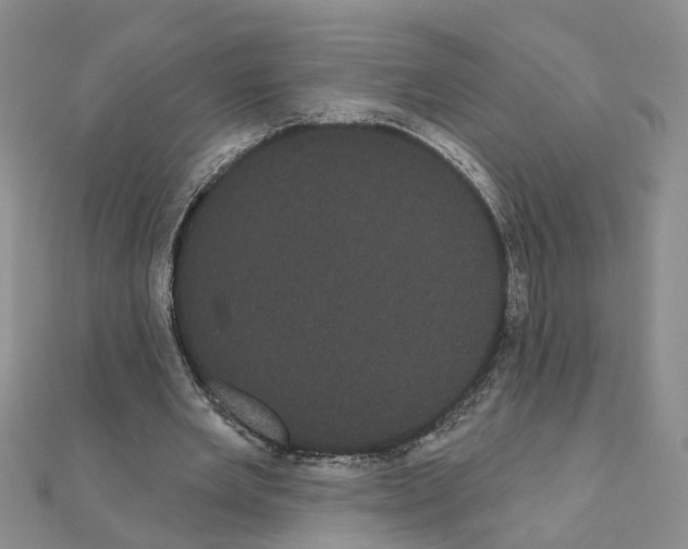 X0000111050485200908061520