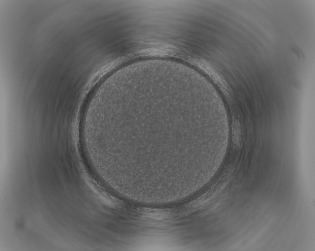 X0000111050486200908061520