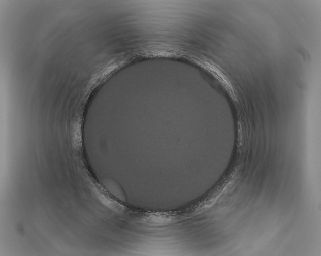 X0000111050489200908061520