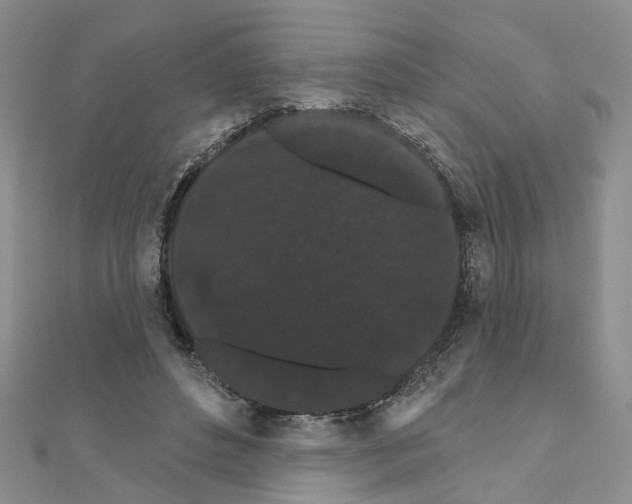 X0000111050496200908061520