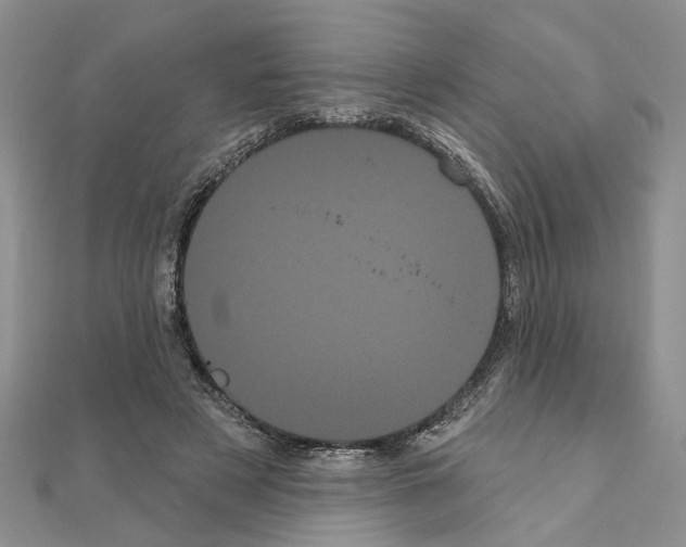 X0000111050497200908061520