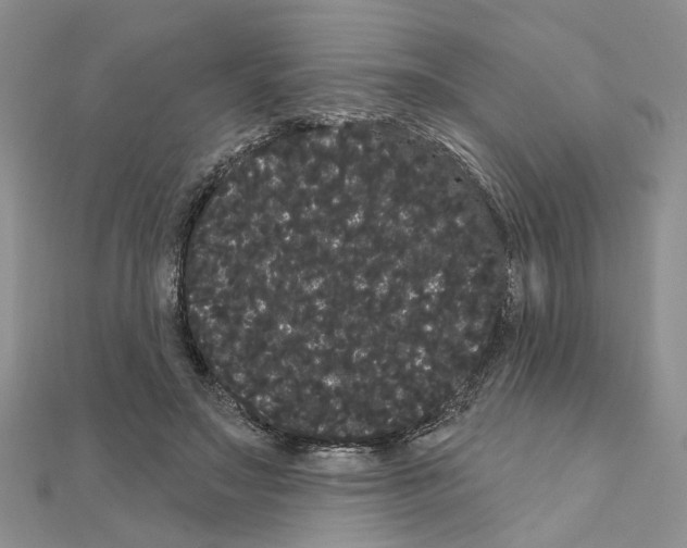 X0000111050499200908061520