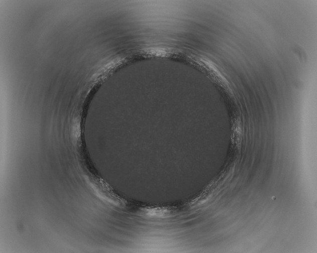 X0000111050500200908061520