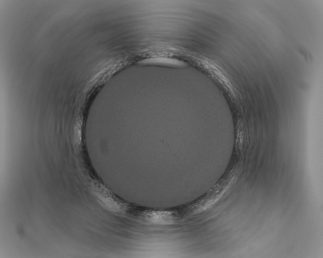 X0000111050501200908061520