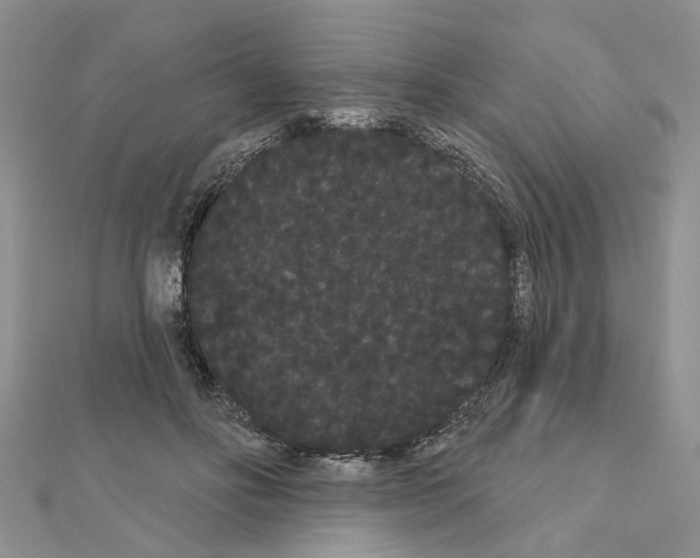 X0000111050502200908061520