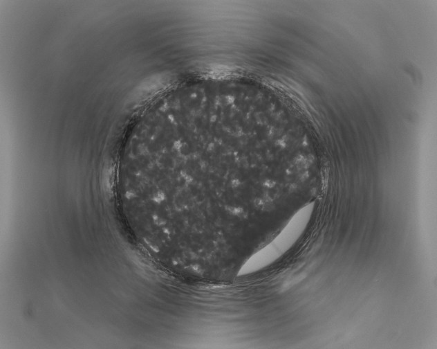 X0000111050503200908061520