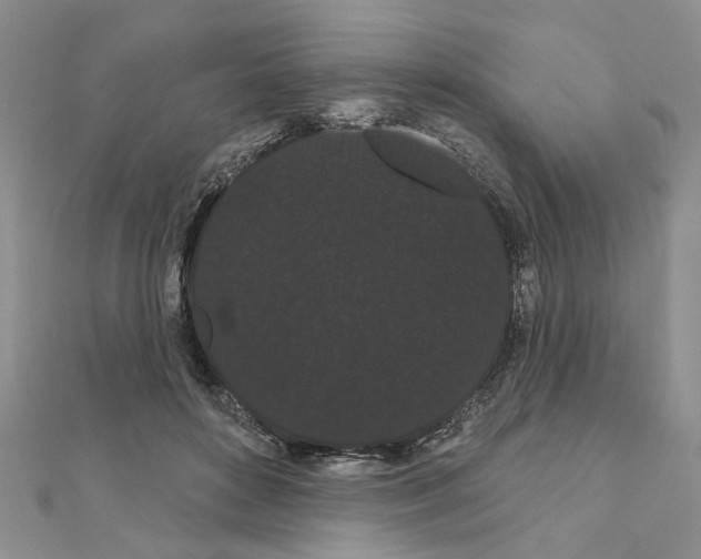 X0000111050504200908061520