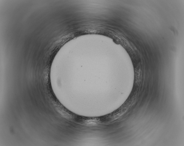 X0000111050505200908061520