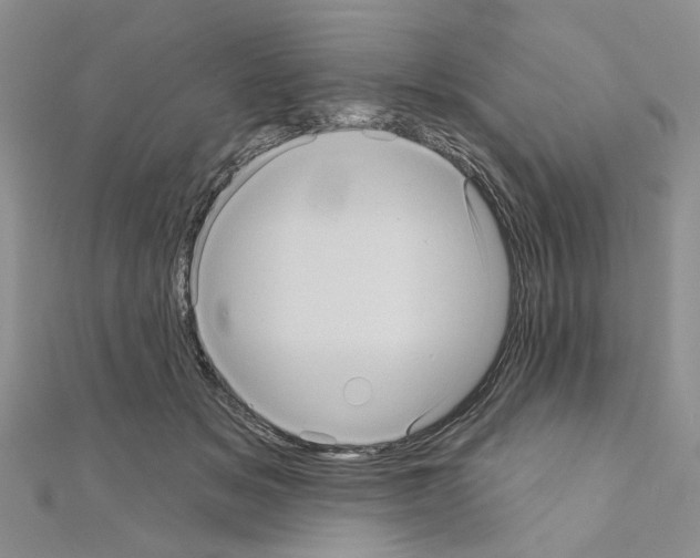 X0000111050509200908061520