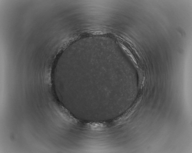 X0000111050512200908061520