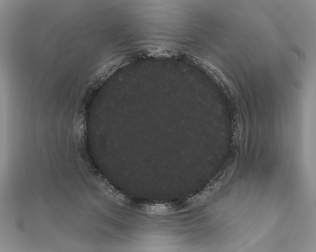 X0000111050513200908061520