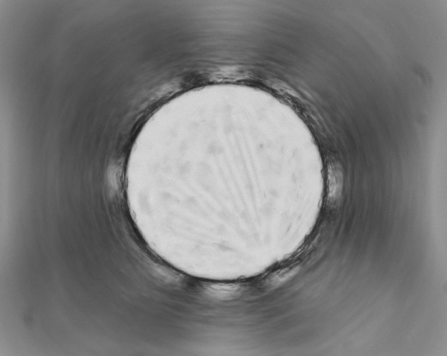 X0000111050515200908061520